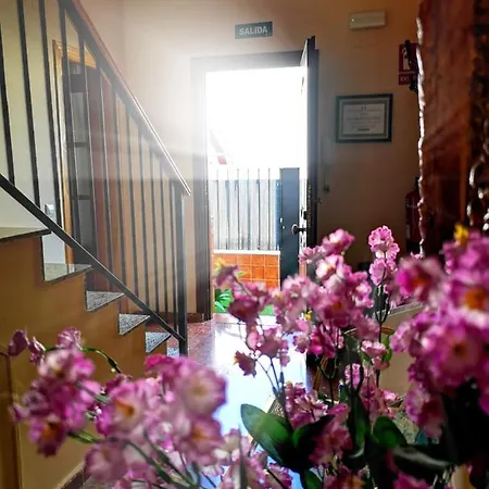 Apartment Casa Maria Olivenza