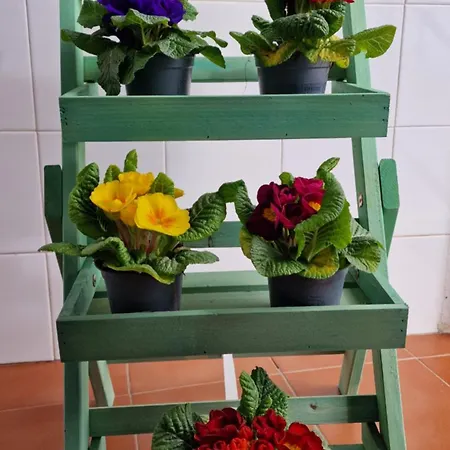 Apartament Casa Maria