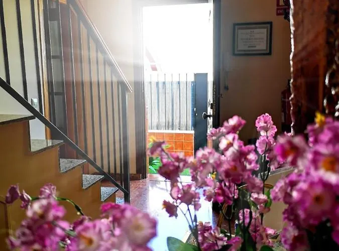 Apartament Casa Maria Olivenza