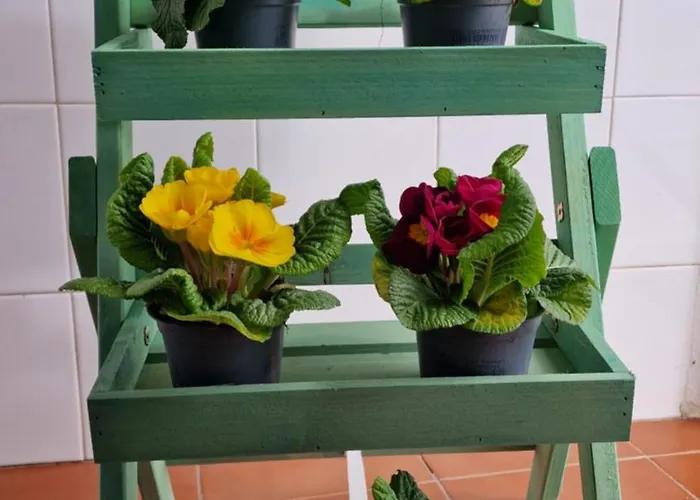 Appartamento Casa Maria